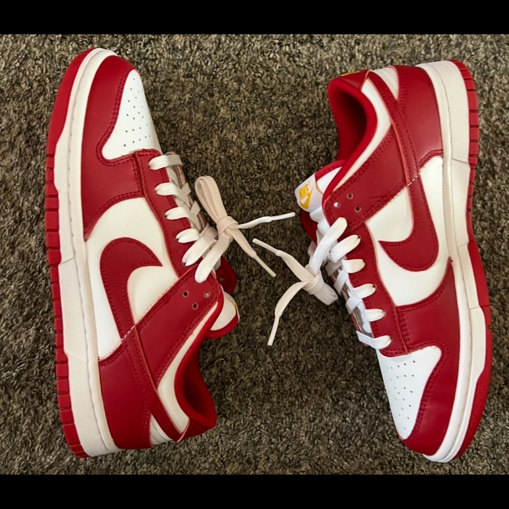 Nike Dunk Low Retro